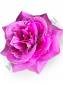 ***Пионовидная роза 7сл 13.5см (крас син сир роз жел)