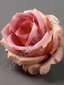 Роза Кружевная сатин 6сл 7см (мол бор гол перс роз-крем пеп-сир)