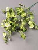 Ветка Эвкалипта монетчатого пластм. 14/37 см