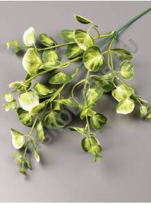 Ветка Эвкалипта монетчатого пластм. 14/37 см