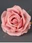 Роза флористическая с пенопластом 12 см (крем  т-роз)