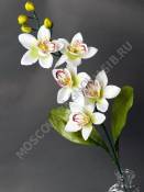 Ветка орхидей 5цвет+4бут 66см