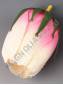 Тюльпан Королевский плотный атлас 1сл 9см (бел мол мол-роз роз жёл гол сир крас микс)/К