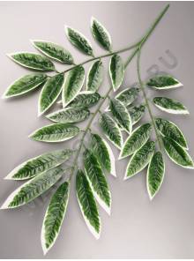 Ветка манго натурального вощеного 3 ветки с белой кромкой 68см.