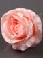 Роза Кремовая флористическая с пенопластом  8см (бел крем роз крас борд)