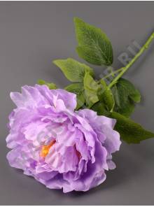 Ветка пиона 70см (бел крас роз борд жёл сир)