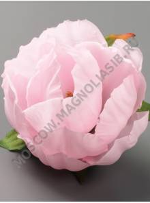 Бутон пиона махрового Бриллиант 3сл 8,5см(бел крас син гол зел роз сир лайм борд свек мол-сир)